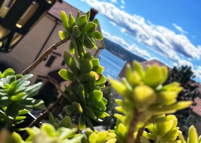 Lydia アパート *